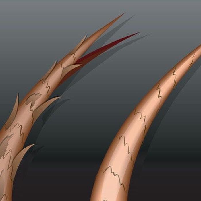 头发干枯毛躁洗完后用什么,洗完头发干枯毛躁用什么护理