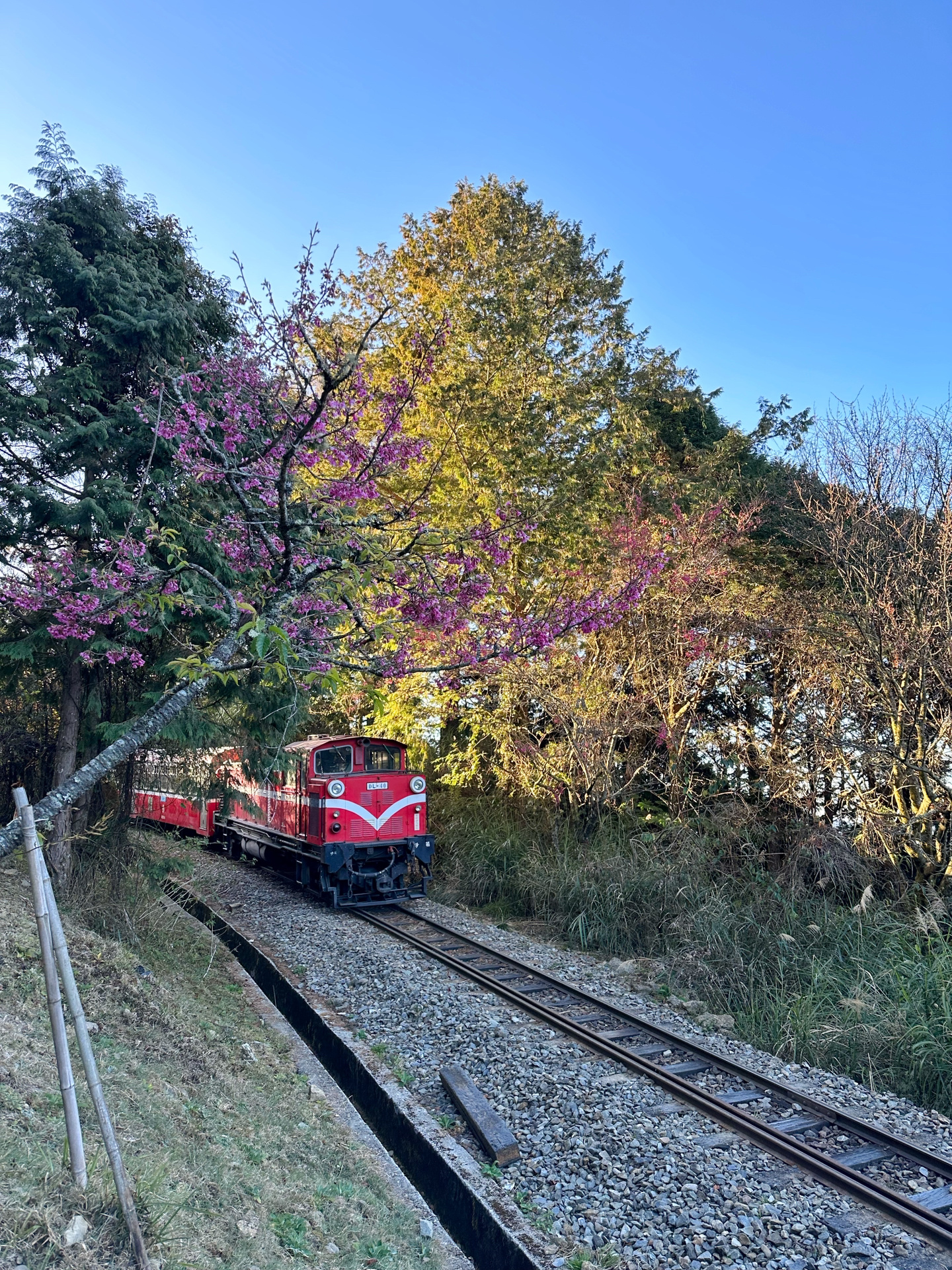 台湾旅游自由行详细攻略,台湾自由行旅游攻略最新