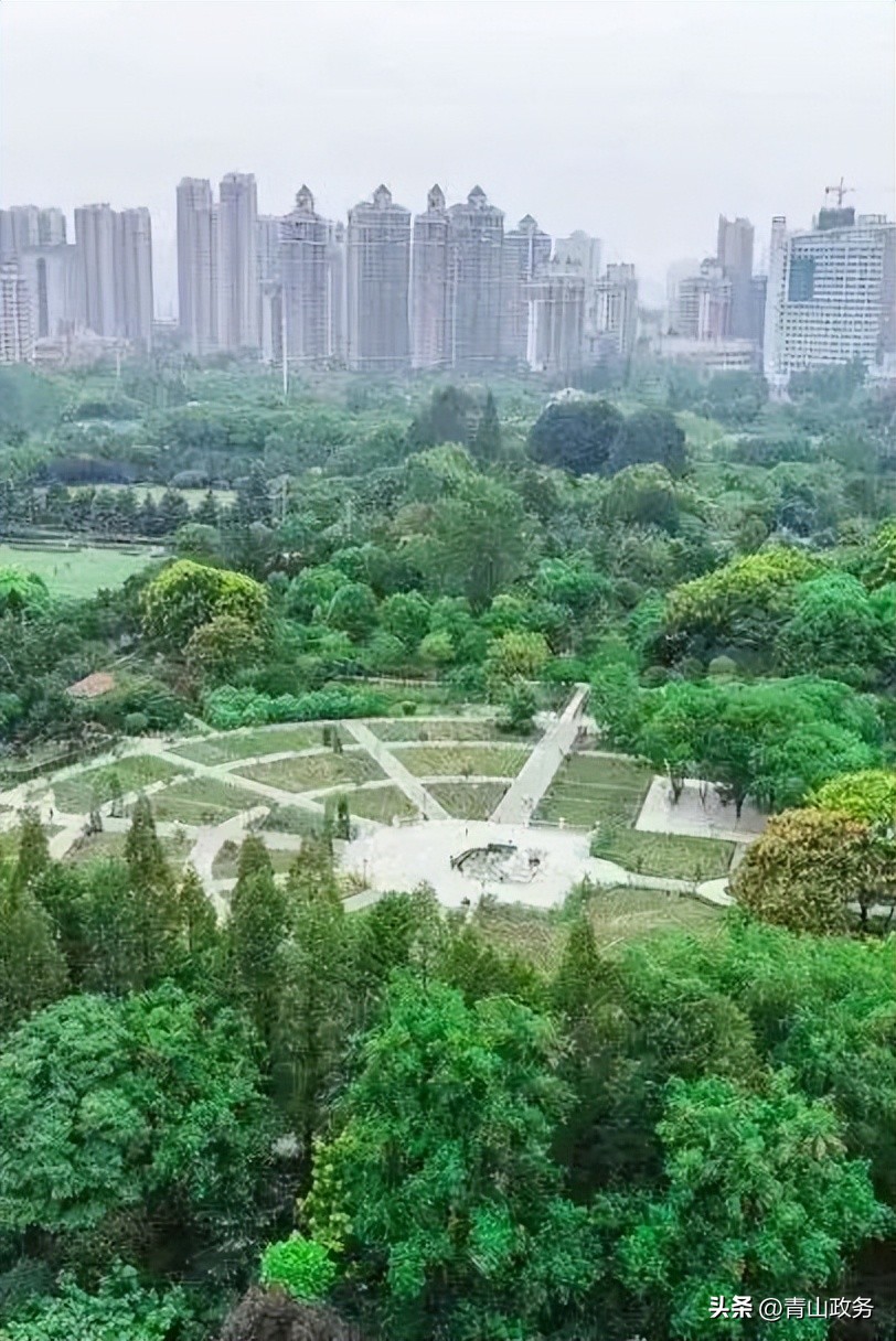 2023青山绿水红钢城半程马拉松,青山马拉松开幕式