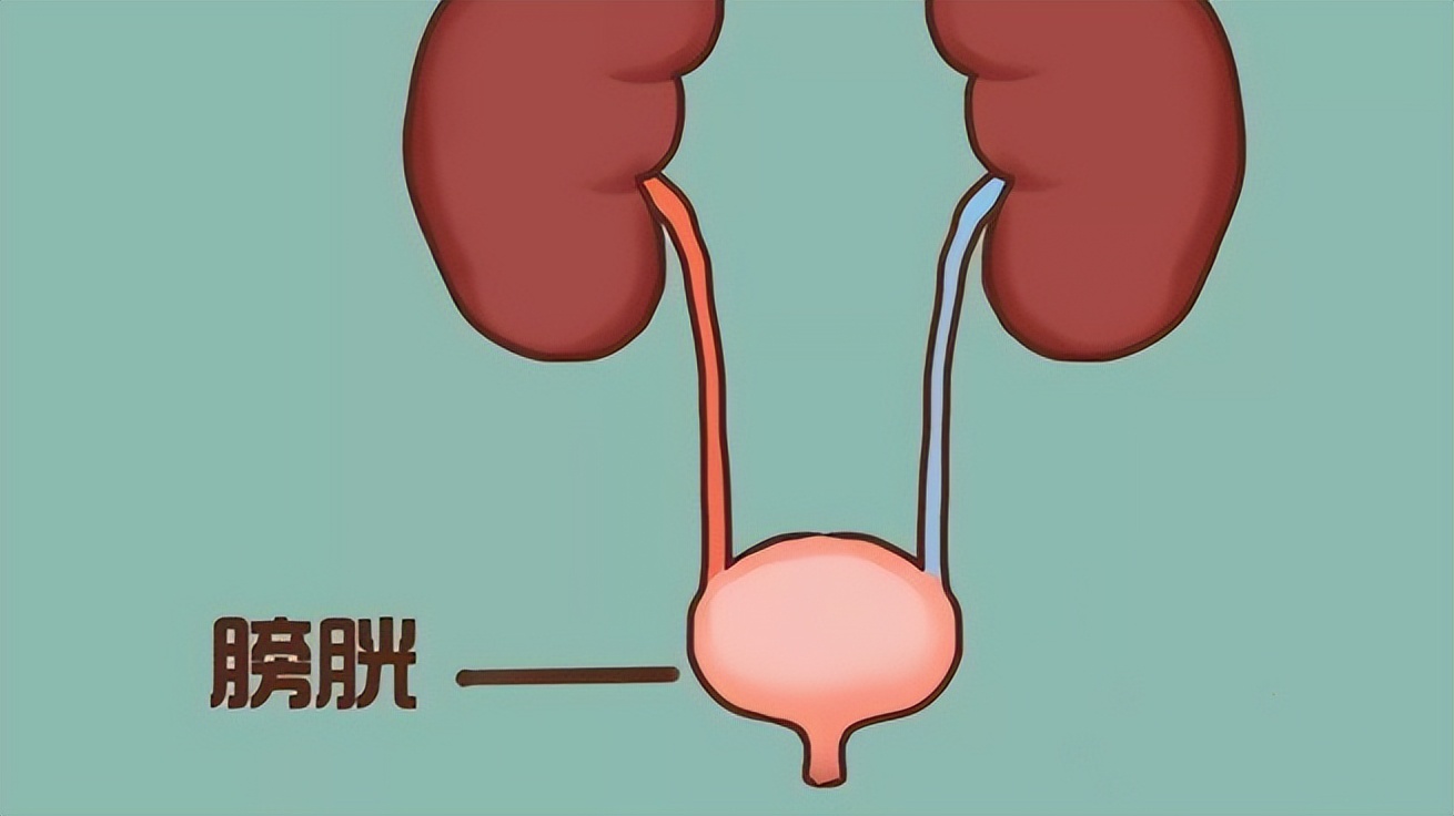 尿路感染反复发作去哪里就医,发现有尿路感染吃什么药好