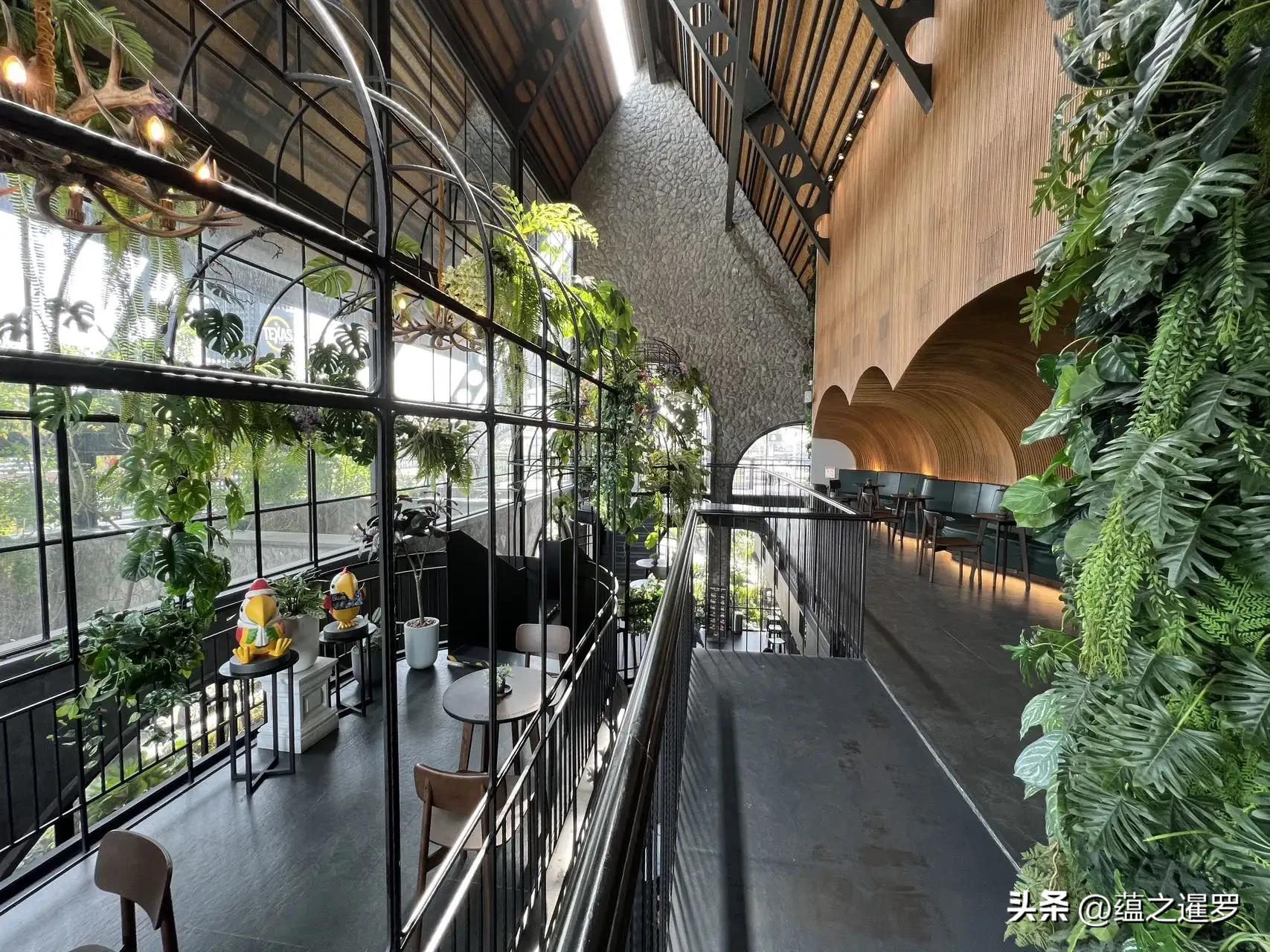 泰版星巴克-亚马逊咖啡，创立20年来首次涨价，为何只涨五泰铢