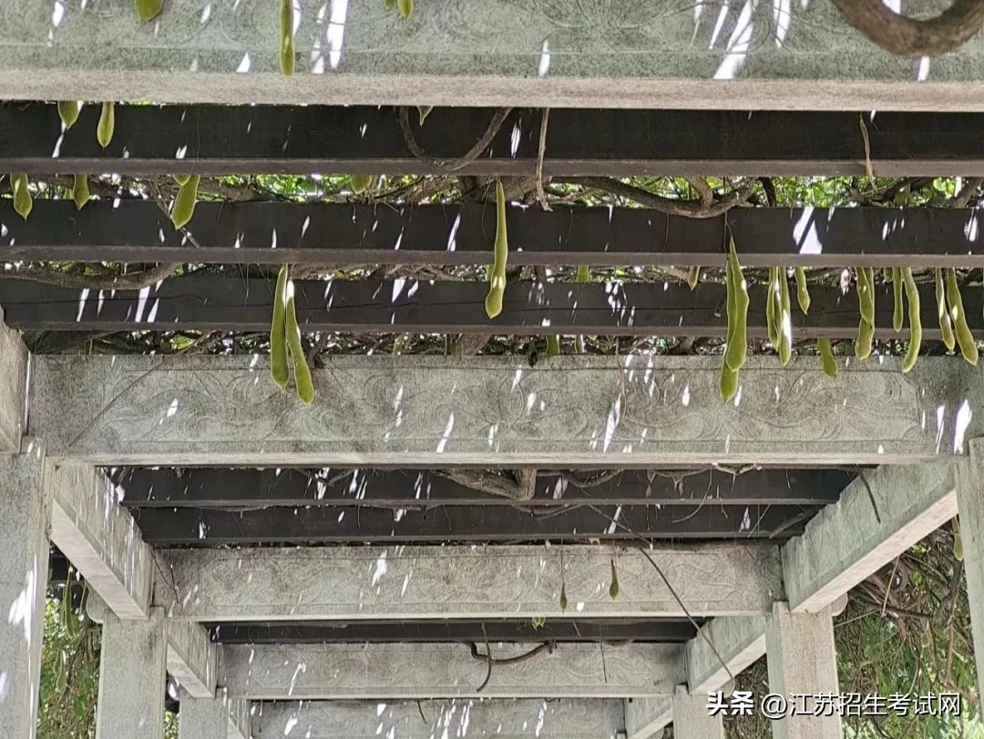 苏州农业职业技术学院全览,苏州农业职业技术学院综合信息网