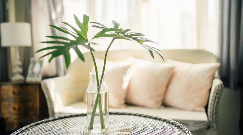 请自己不要耽误自己,永远不要耽误自己人性解读