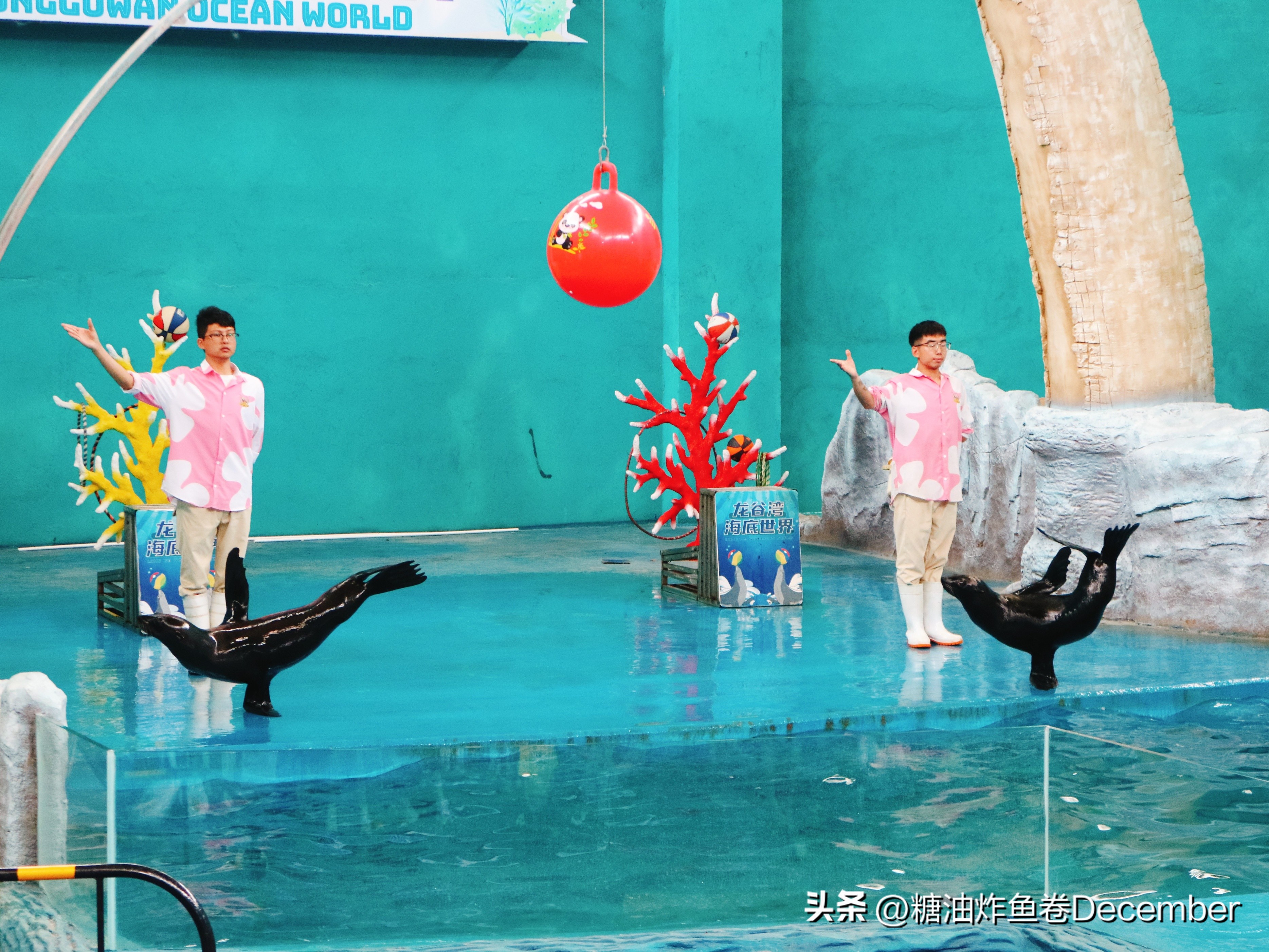 扶绥龙谷湾恐龙公园游玩攻略,扶绥龙谷湾恐龙公园在哪里