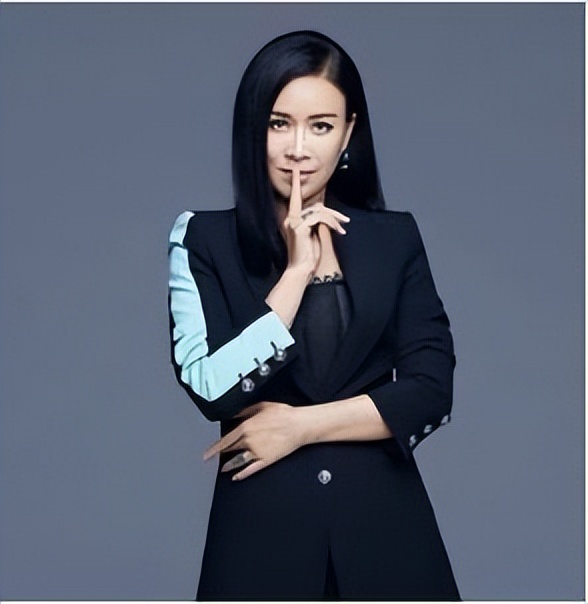 那英当年做过什么事,那英原来模样