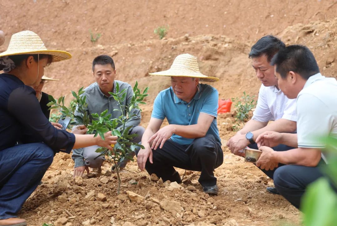 农业产业扶贫示范基地,发挥农业示范基地的引领作用