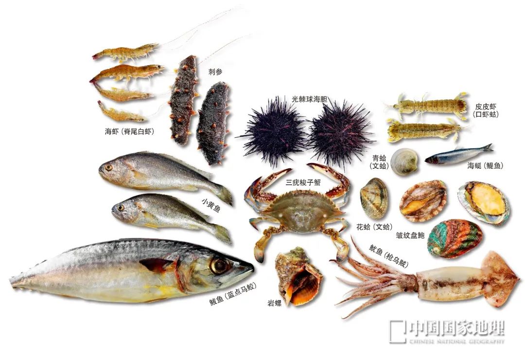 东北偏僻山村真实生活,东北冷不冷的真实生活