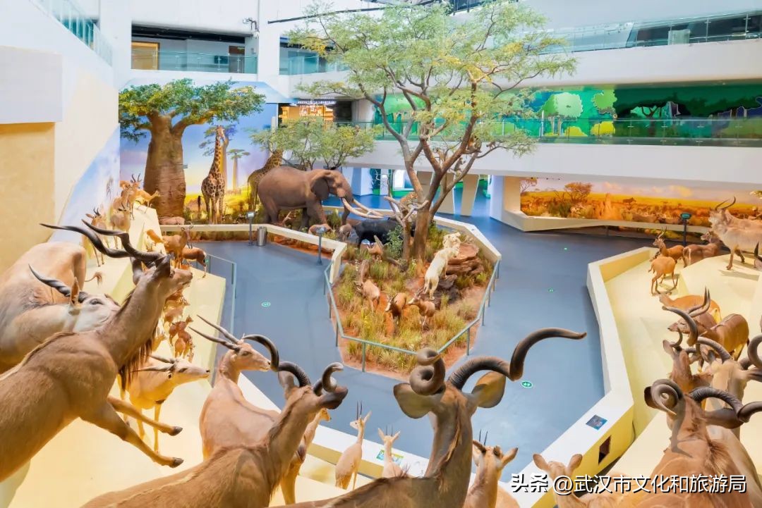 秋天的公园像一幅美丽的油画,园博园油画