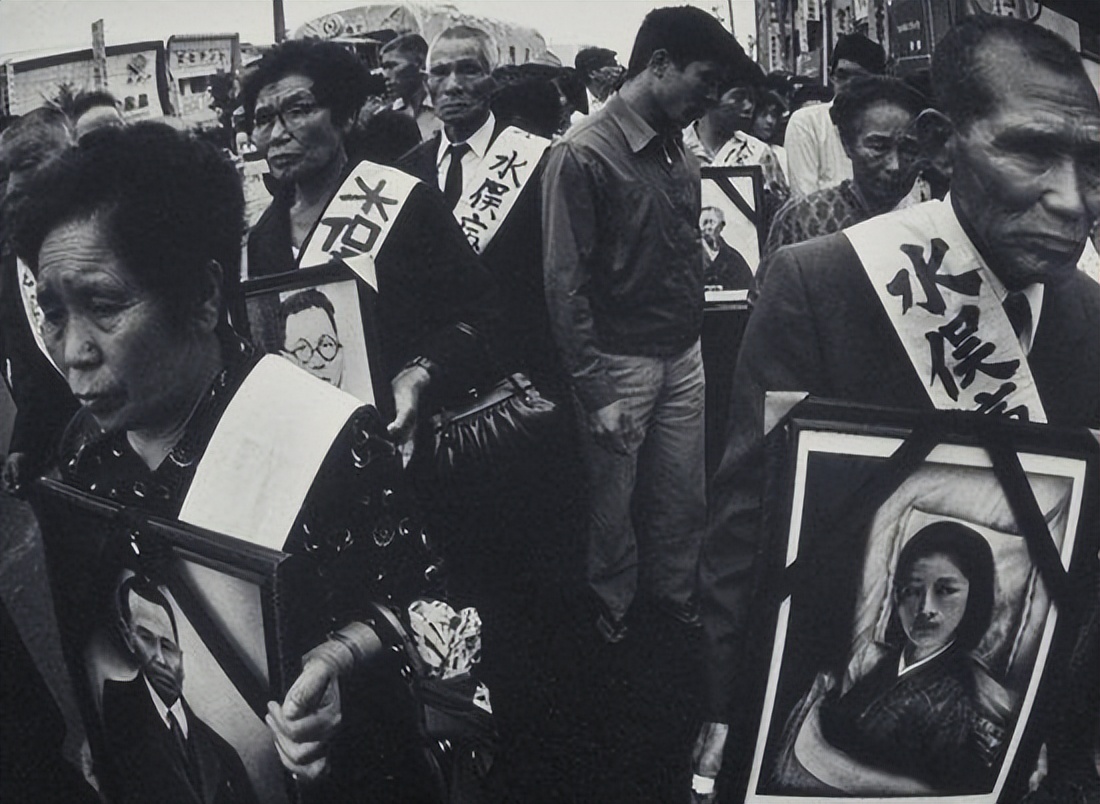 樱花起源于中国为什么叫日本樱花,日本樱花的历史简介