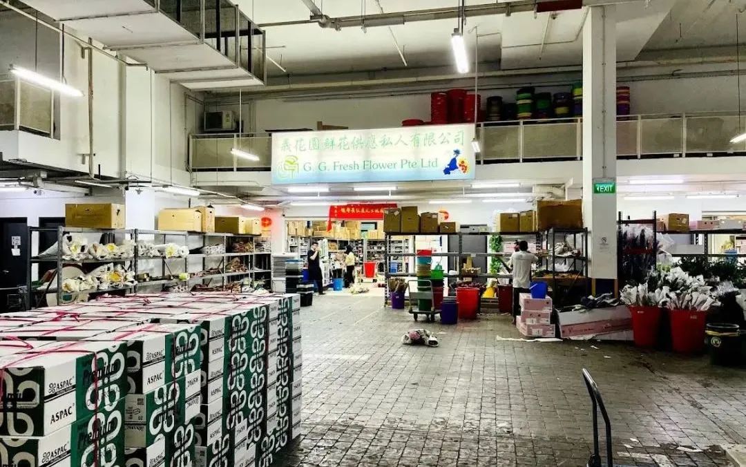 鲜花在水里能养几天会死,新加坡盆栽花卉怎么养