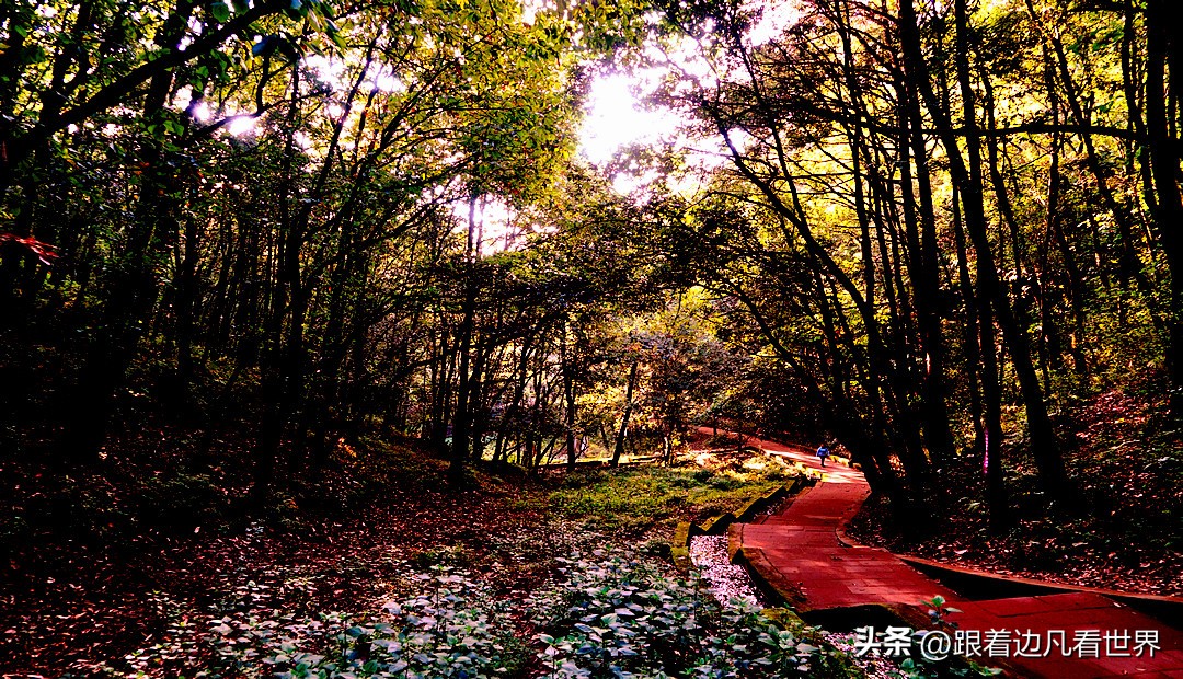 昆明徒步藏在郊区的童话山,徒步昆明金殿后山