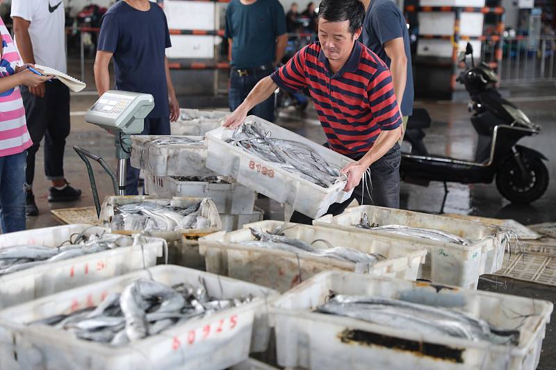 带鱼的“忧虑”:一年出水百万吨,繁荣背后其实暗藏玄机?