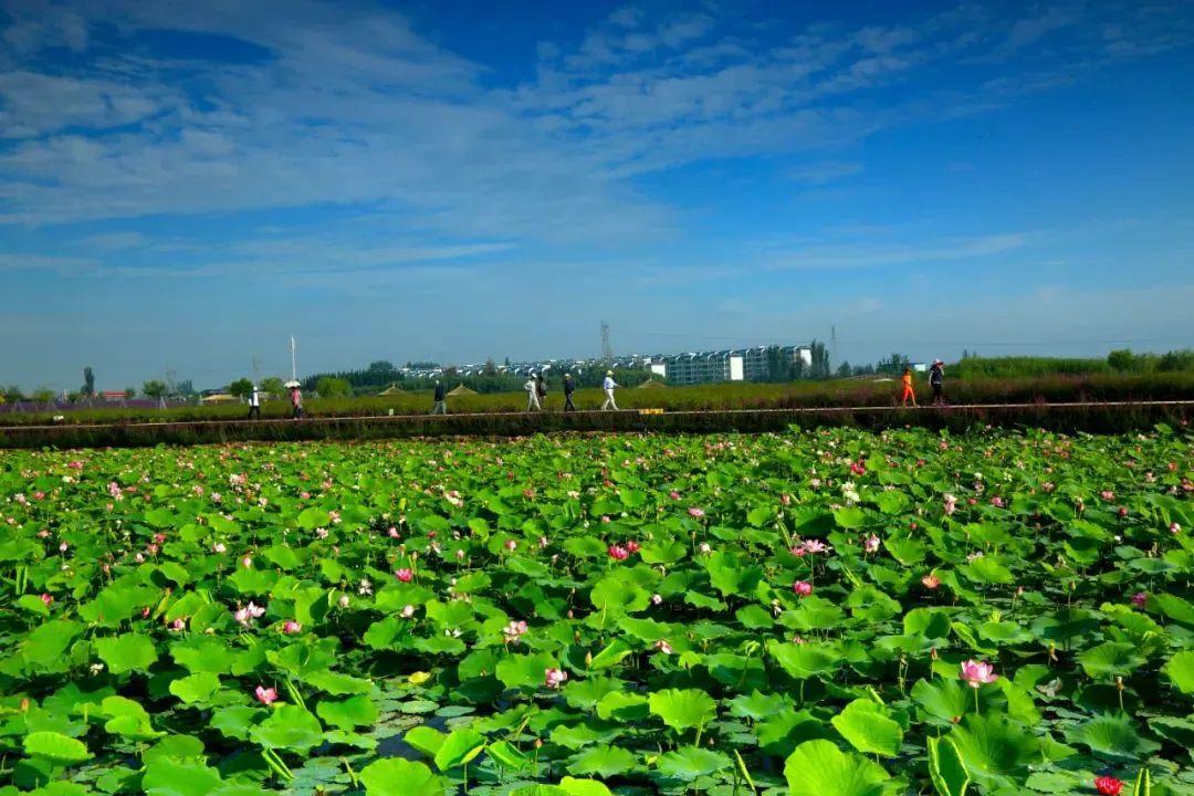 为什么张掖是玉米制种基地,张掖舰为什么用张掖命名