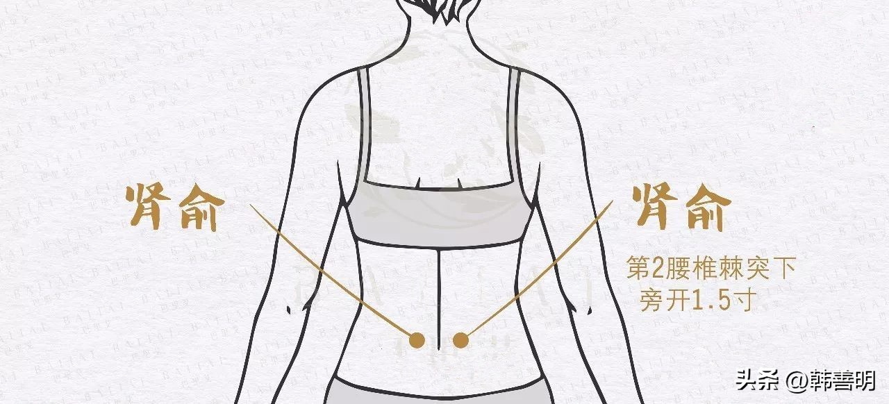 韩善明艾灸仪,韩善明蕲艾疗法