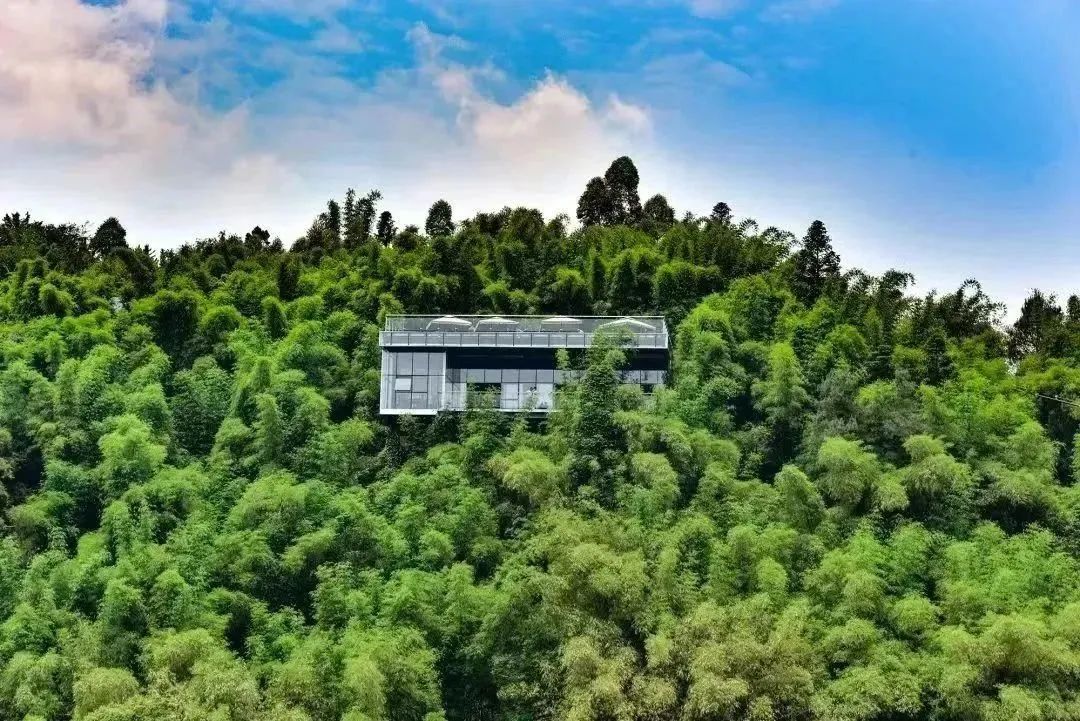 邛崃川西竹海攻略,邛崃竹海徒步攻略