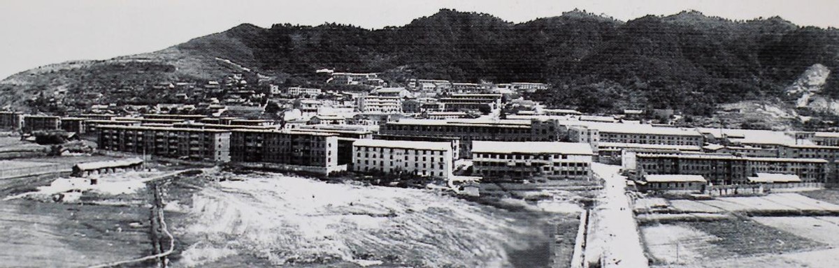 五十年如一日，揭秘电气幕后英雄