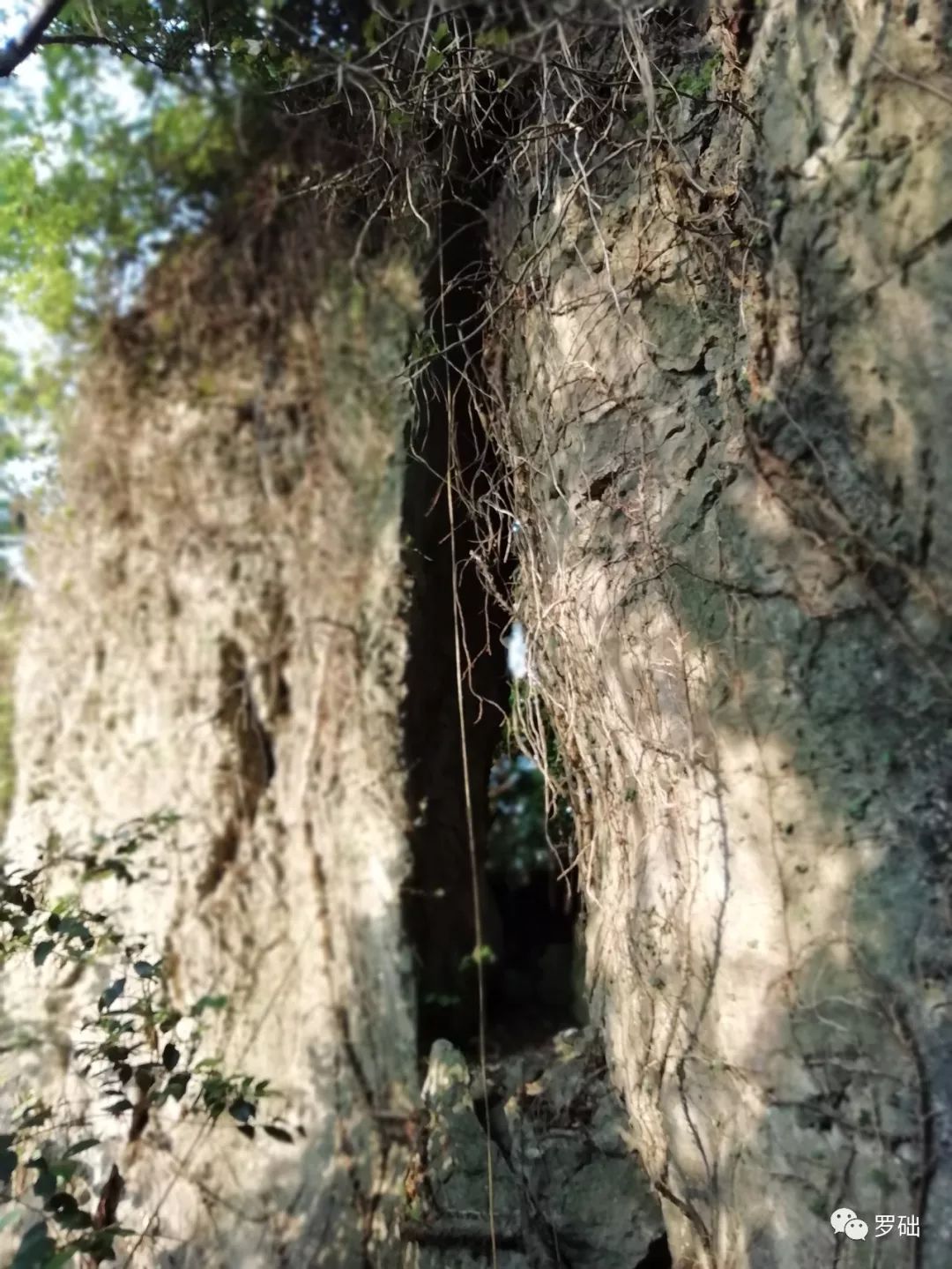 鐭虫湪灞卞,鐭虫湪瀵ㄥソ椋庡厜
