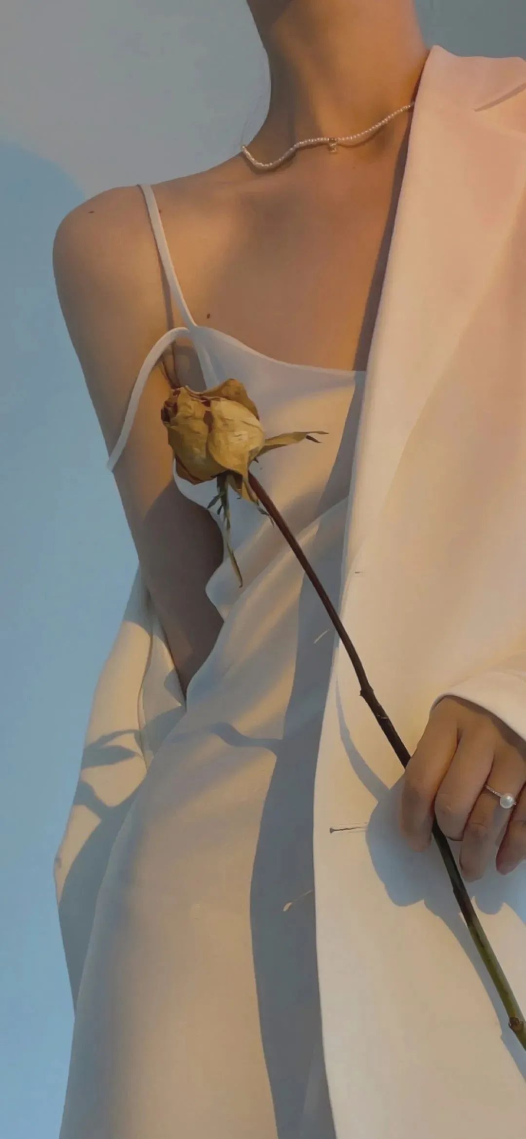 高清全屏壁纸最近比较火的壁纸,刘诗诗壁纸高清全屏无水印壁纸