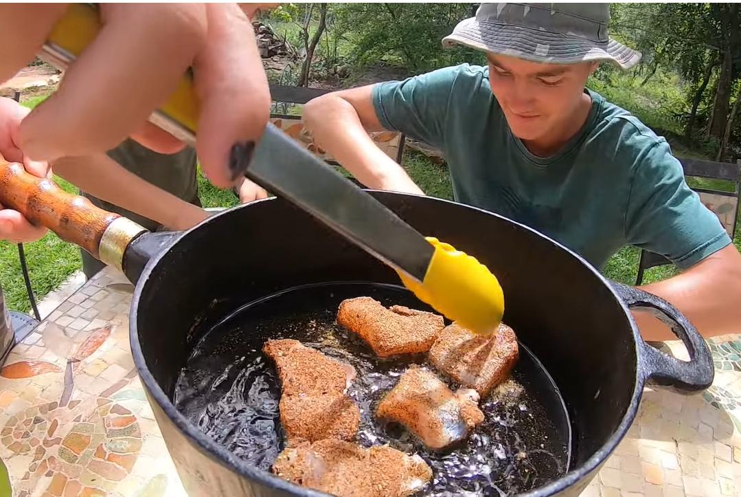 十种颜值最高的鱼,这些长相奇怪的鱼你认识几条