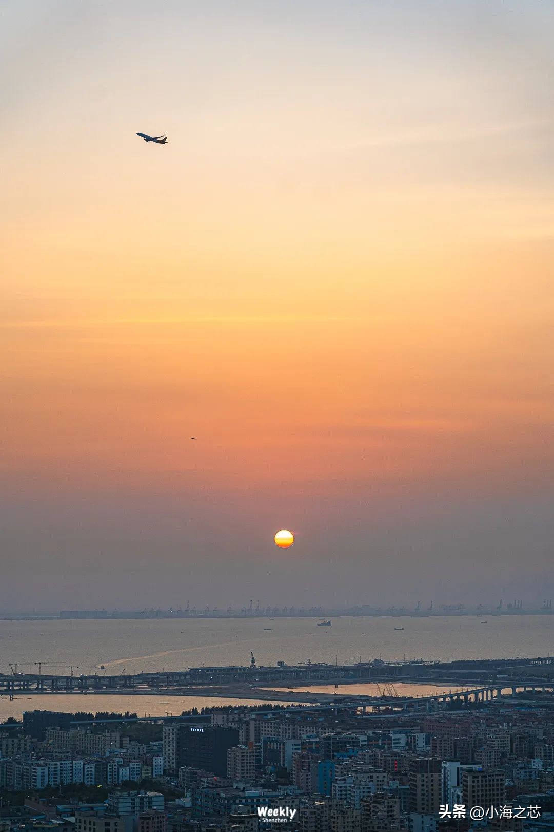 深圳青年旅社最多可以免费住几天,深圳男女混住的青年旅社