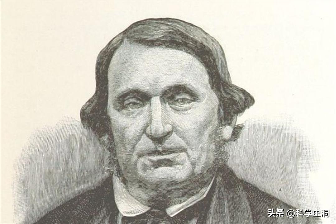 澳洲的野兔泛滥成灾的主要原因,澳洲野兔泛滥的时候究竟有多可怕