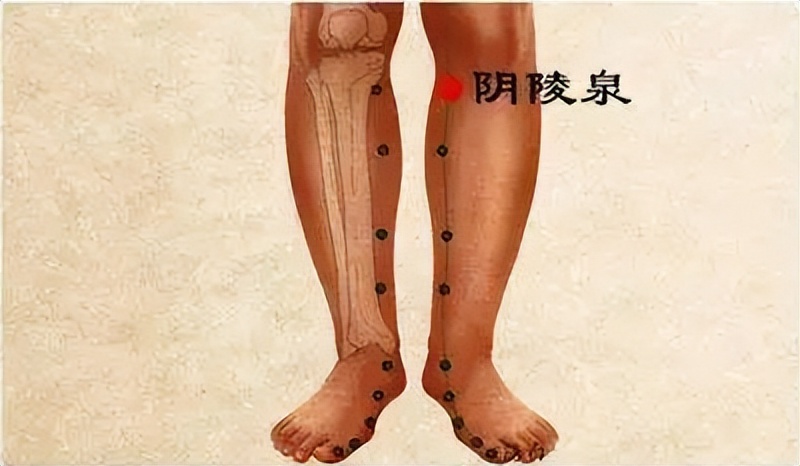 三伏天祛湿寒最有效的方法吃什么,三伏天吃啥祛湿效果最好