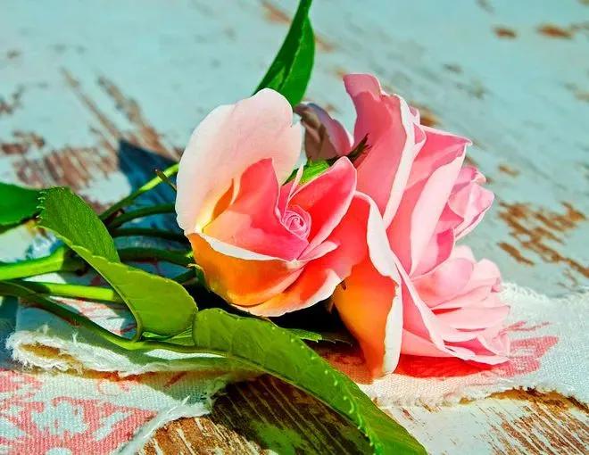 家庭和睦夫妻同心就是最好的风水,家庭和睦夫妻同心才是上等风水