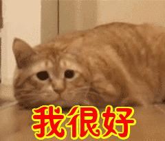 肛裂自述,关于肛裂的叙述哪项正确