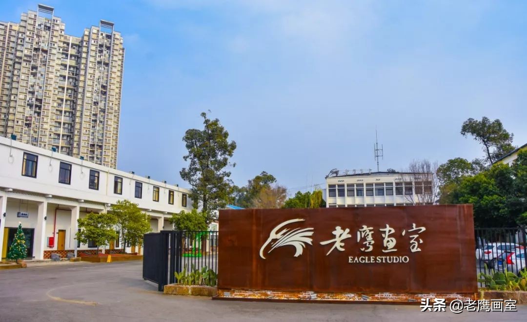 老鹰画室精品班和进阶班,成都老鹰画室和成都艺考画室
