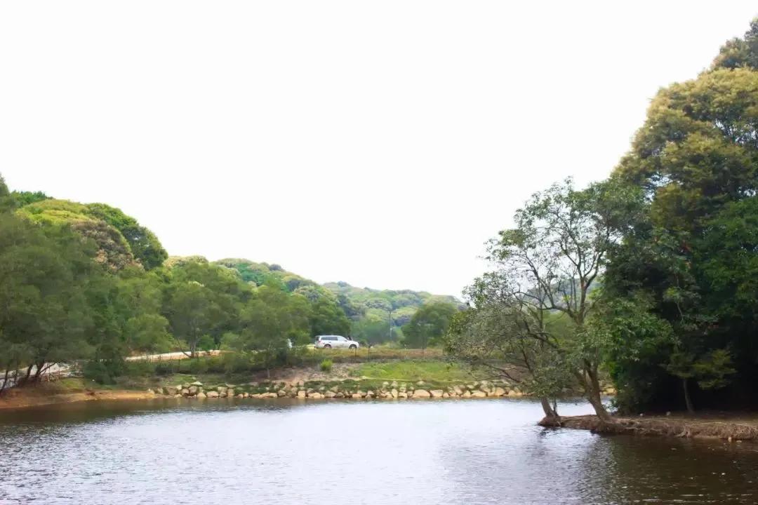 深圳免费儿童好玩的景点排名,深圳景点有哪些好玩的地方免费