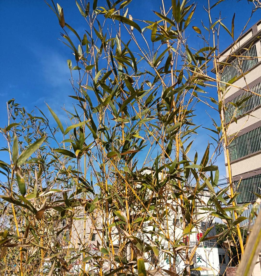 心灵的拷问,心灵的拷问是什么意思