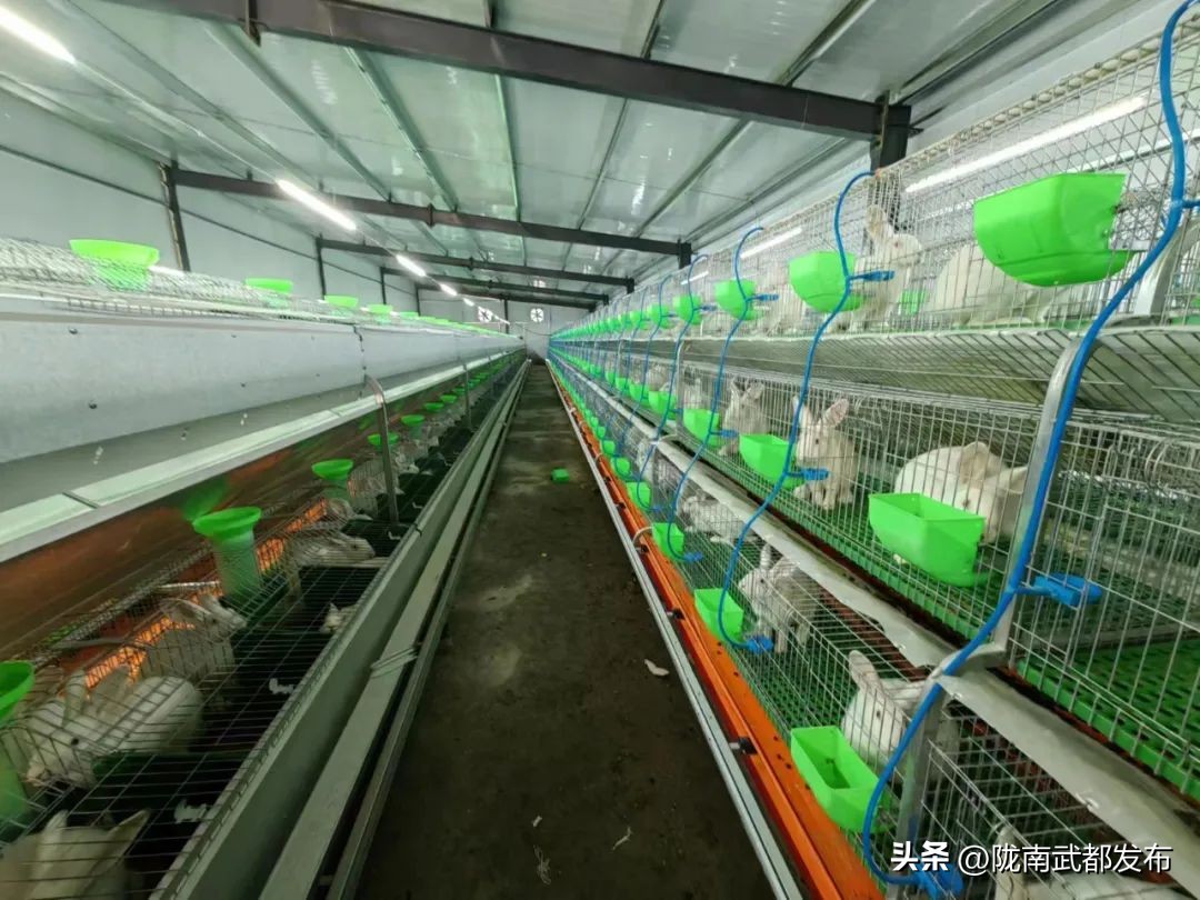 协商议事助力民生,协商议事谋良策凝心聚力