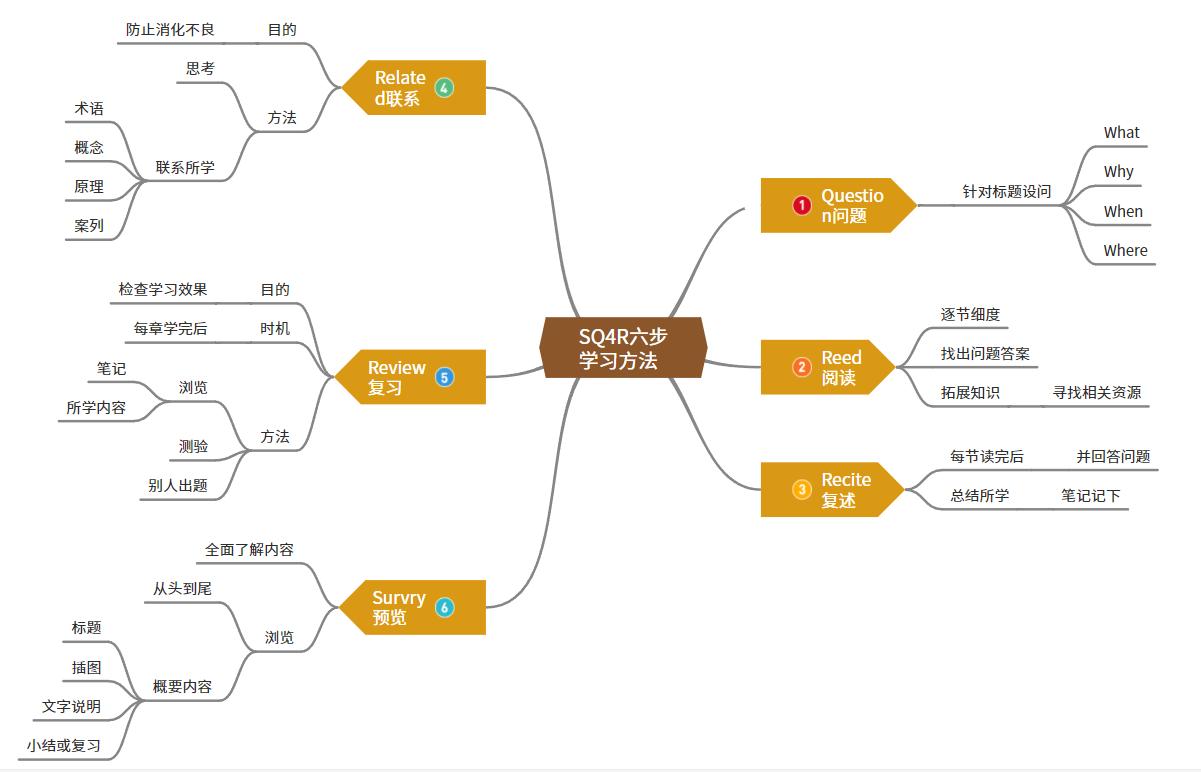 年月日思维导图怎么画,荷花的思维导图怎么画