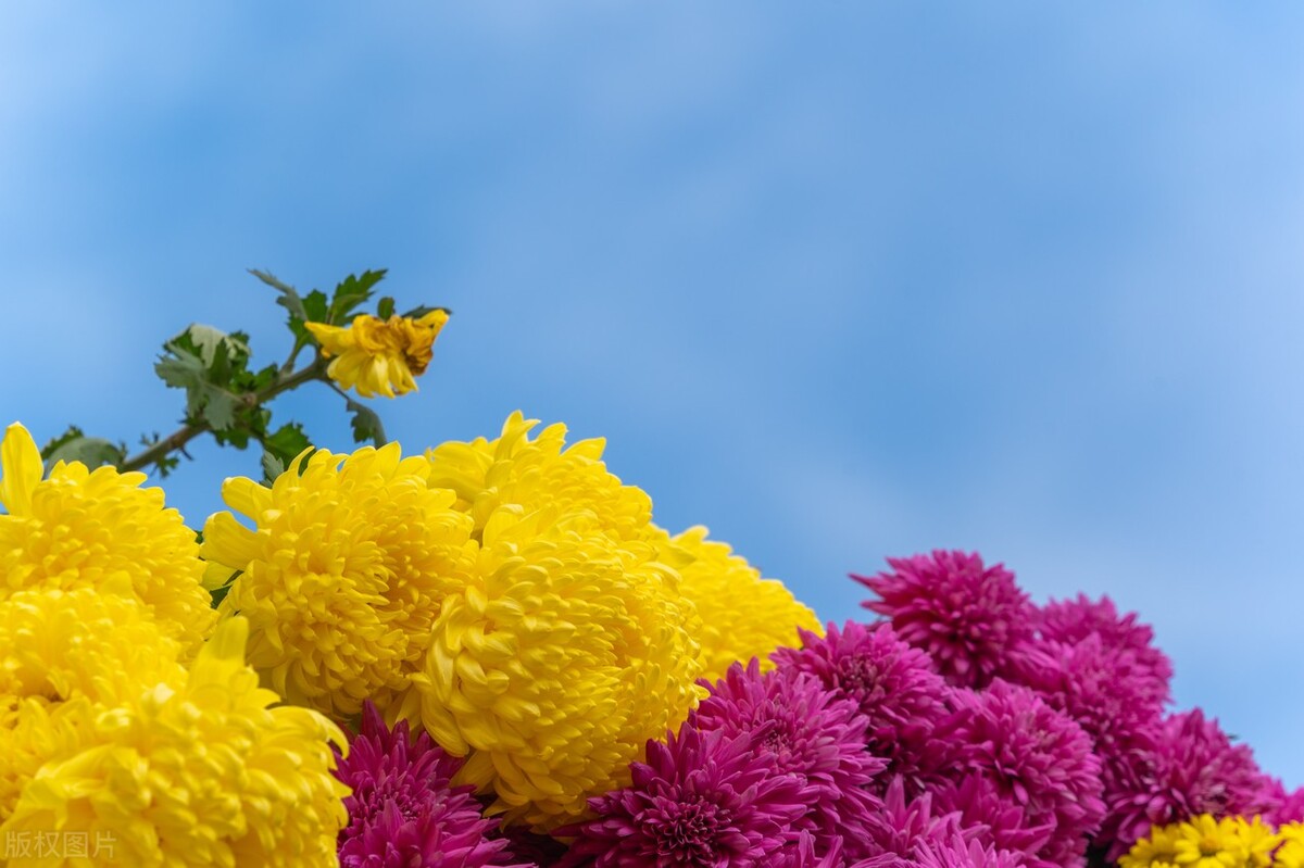 让自己变得强大的12个建议,让自己强大起来的20件事