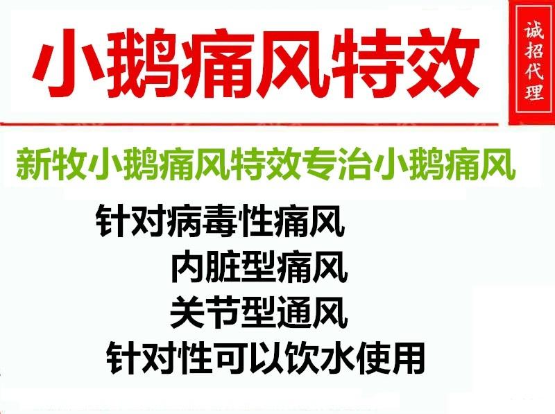 小鹅痛风最快的治疗方法,鹅营养性痛风与病毒性痛风的区别