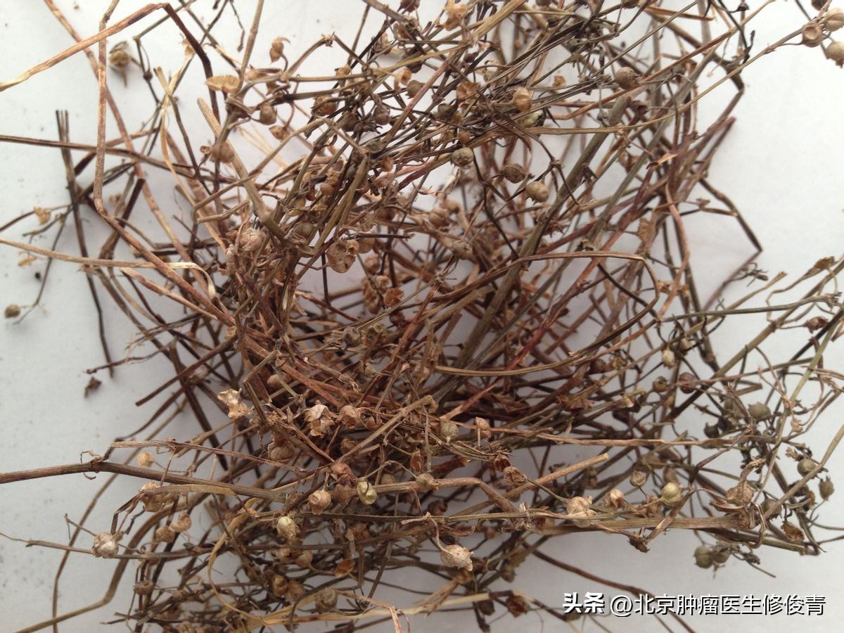 中医治乳腺癌医案,中医调理术后乳腺癌方子