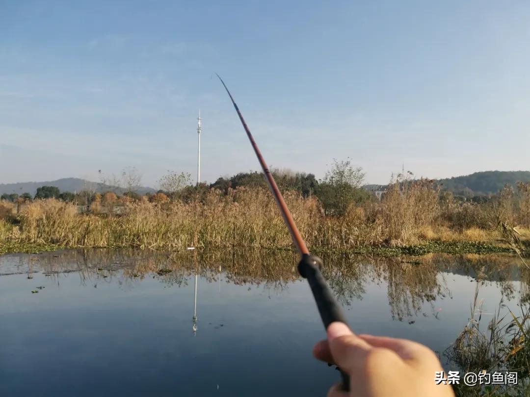 新手买鱼竿要注意哪些,新手买鱼竿怎么选择能一步到位