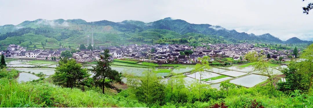 四季黄山相约春天什么时候开始,四季黄山相约夏季