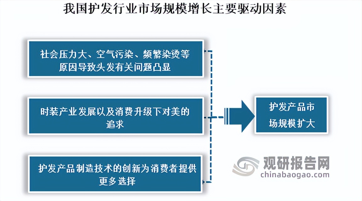 护发精油行业报告,洗发护发行业报告