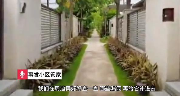 网红痞幼三亚别墅被闯入,痞幼三亚豪宅被非法闯入