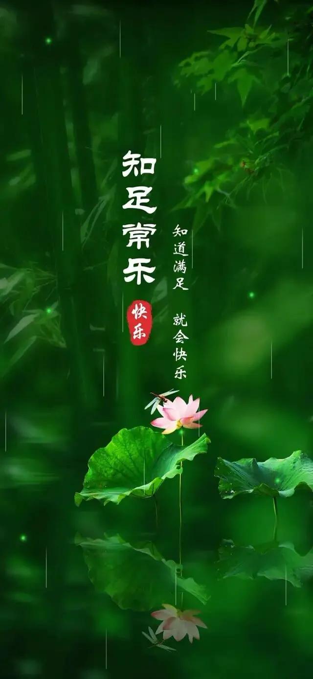 护眼壁纸动态壁纸高清全屏90帧,华为绿色养眼护眼壁纸