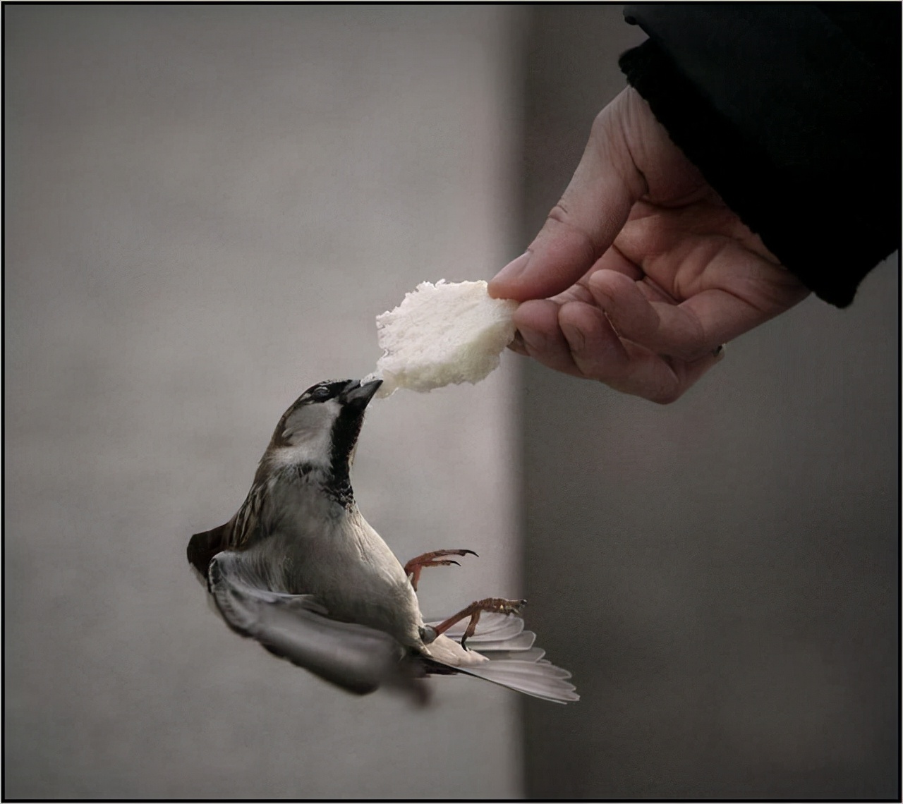 100个难得一见照片,火山爆发时的岩浆图片真实