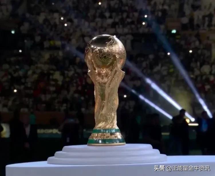 世界杯关注度几十亿人,世界杯关注人数