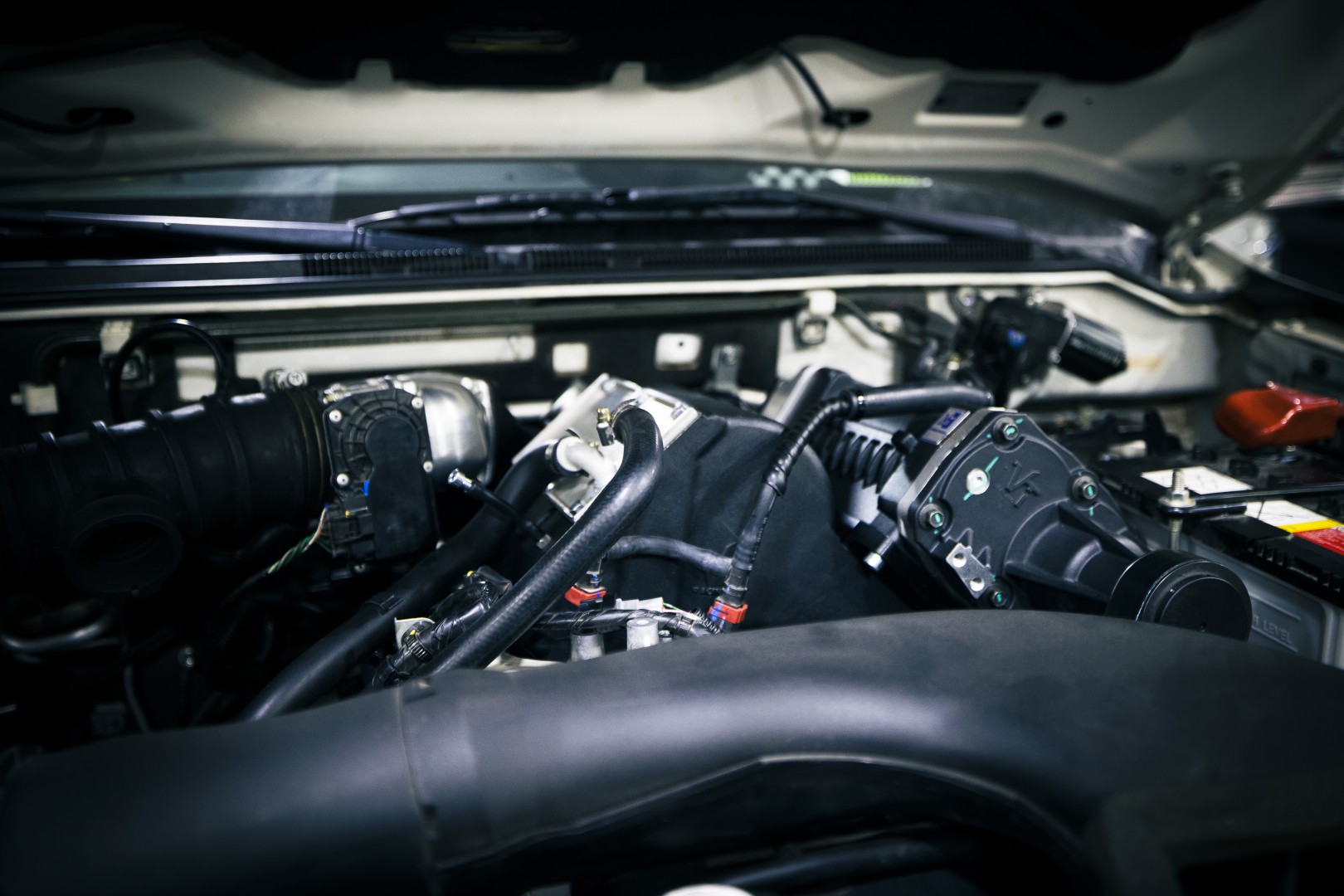 瑕疵山猫帕杰罗,山猫帕杰罗骨子里的傲气