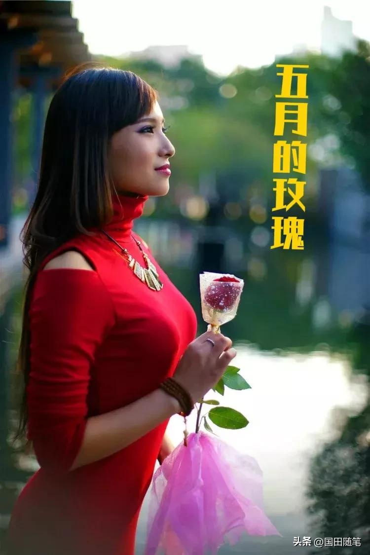 五月的玫瑰小说,五月的玫瑰情书