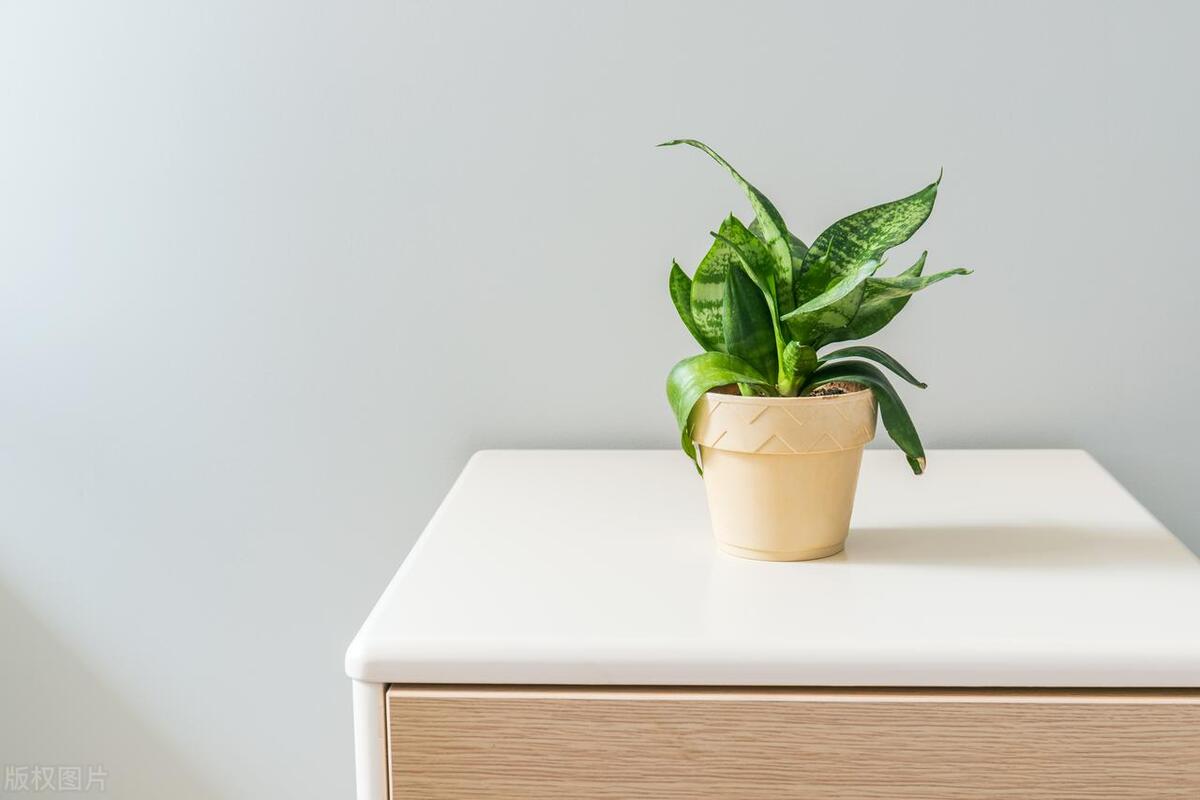 装修后有什么除甲醛最好的方法,装修后怎样除甲醛最有效