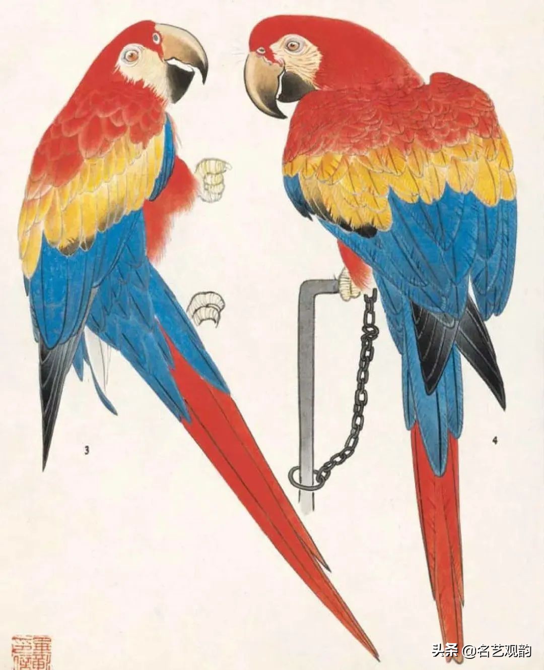 国画禽鸟写意教学视频,工笔禽鸟圆扇图片大全