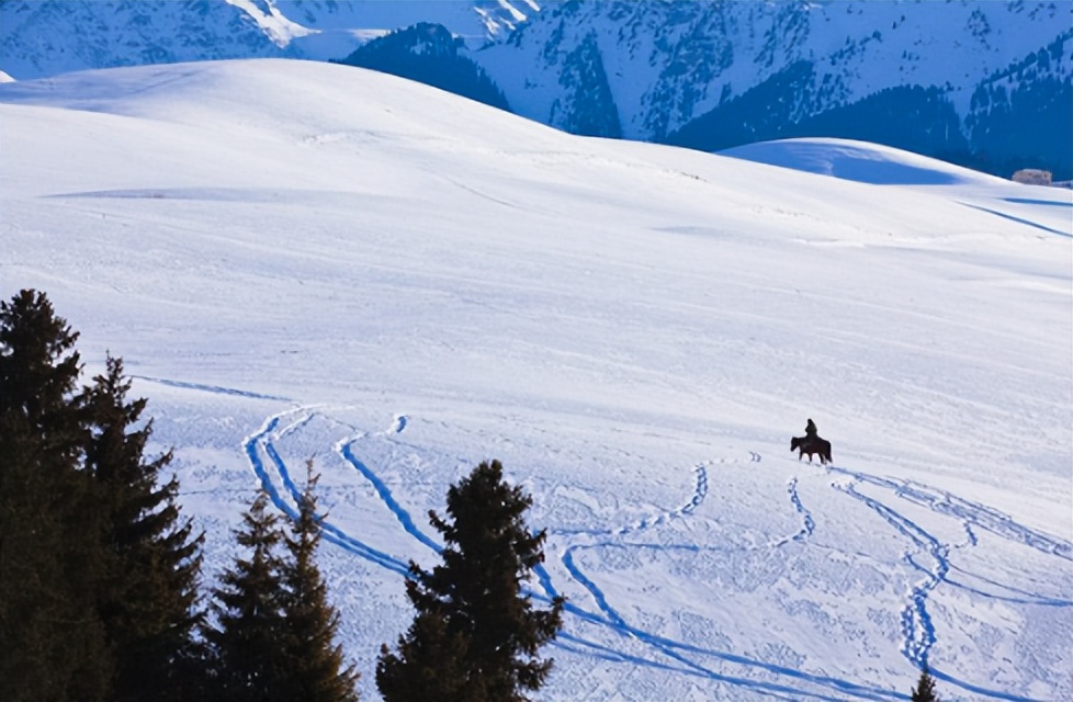 唐诗经典100首必背,240首必背唐诗