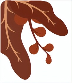 香港保诚保险怎么查保单,香港保诚保单服务