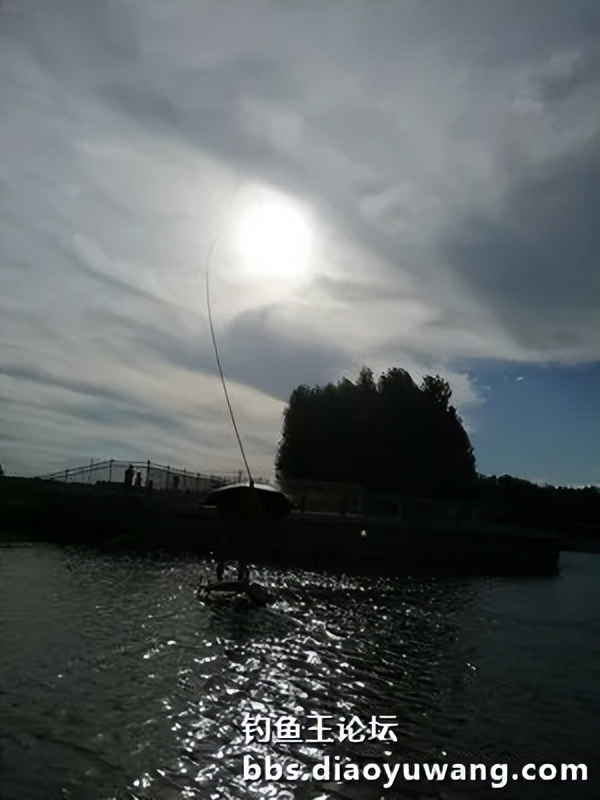 疯杀果香鲫，连竿上大翘